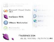WindowsXPアイコン trueSpace