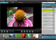 Woopie Video DeskTop