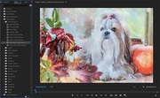 AKVIS Watercolor Video for Mac (HomevOC)