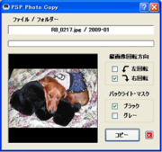 PSP Photo Copy