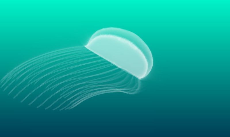 Artificial Jellyfish Screensaverの詳細情報 Vector ソフトを探す