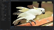 AKVIS Stencil Video for Mac (HomevOC)