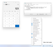 Ώۂ̃EBhE\ăLv`܂Beݒ̓Cj[ōs܂B