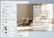 �w�i�摜��BGM��ǂݍ��݉\�B�z�F��G�f�B�^�̔z�u�����R�ɃJ�X�^�}�C�Y