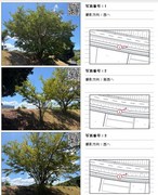 �ʐ^�ʒu��������}�쐬